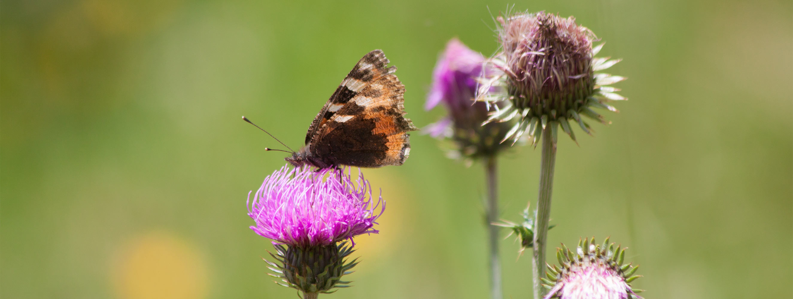 Gasthof Jägerrast im Pfossental